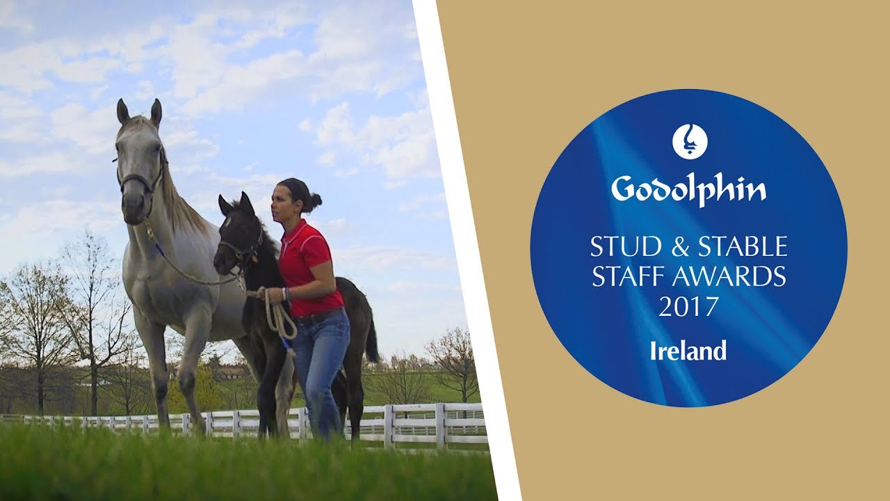 2017 Irish Stud and Stable Staff Awards - Horse Care Award Finalists