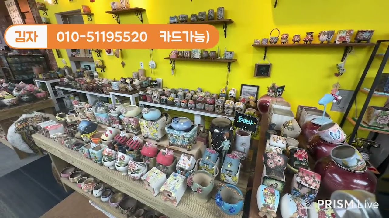 김자매다육Kim sisters  succulent plan 라이브 스트리밍 중