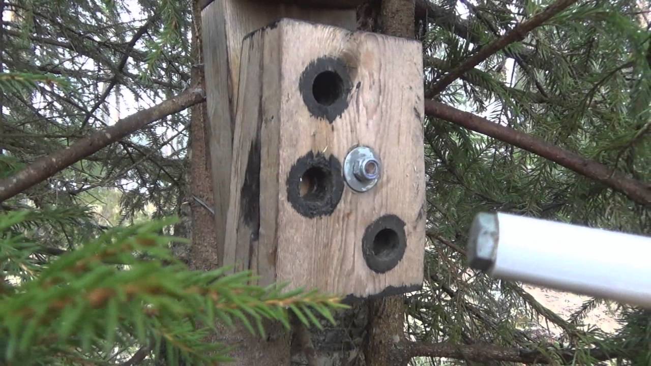 Puuhiksen pulmalaatikko geokätkö