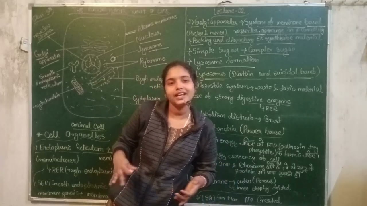 The fundamental unit of life lecture 3 class 9th