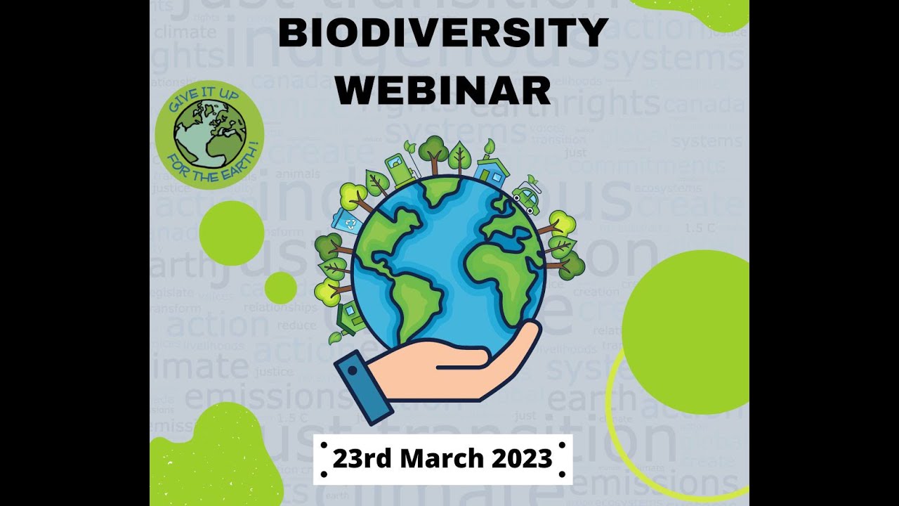 Preserving Biodiversity: Creation Care from Faith to Action