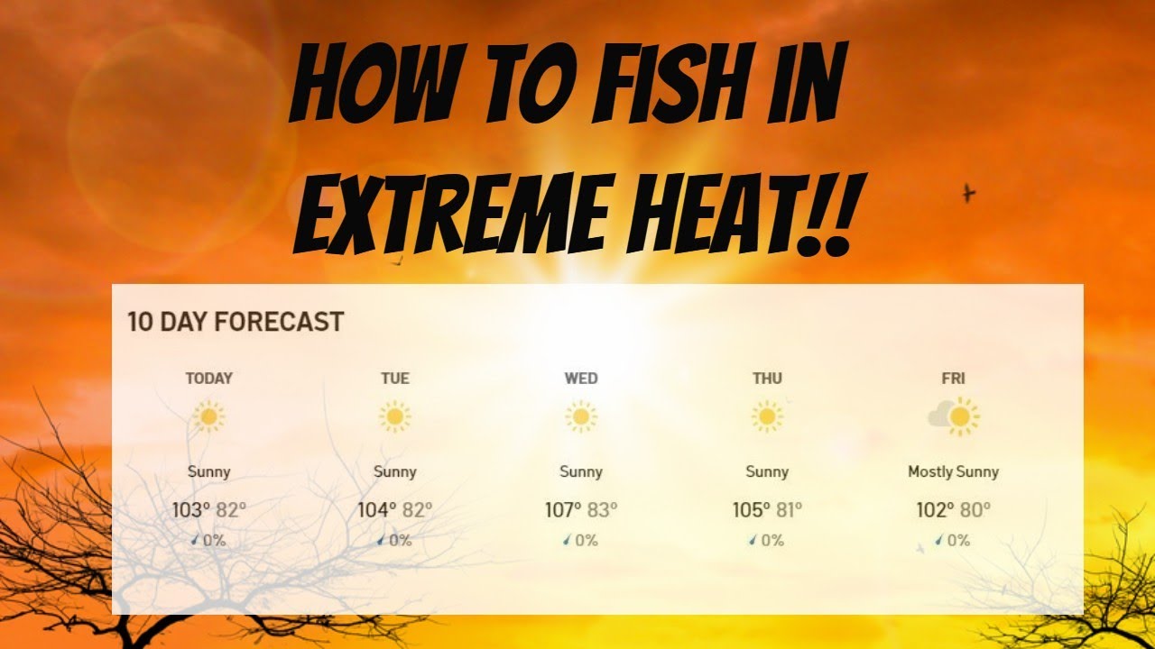 Summertime Bass Fishing - Where to fish Shallow