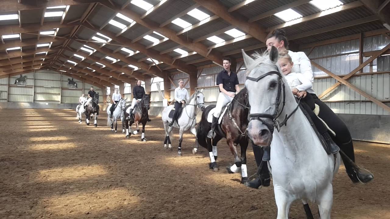 HARAS DU LANNOY - Carrousel des Lusitaniens et Frisons - Journée Portes Ouvertes 26/06/16