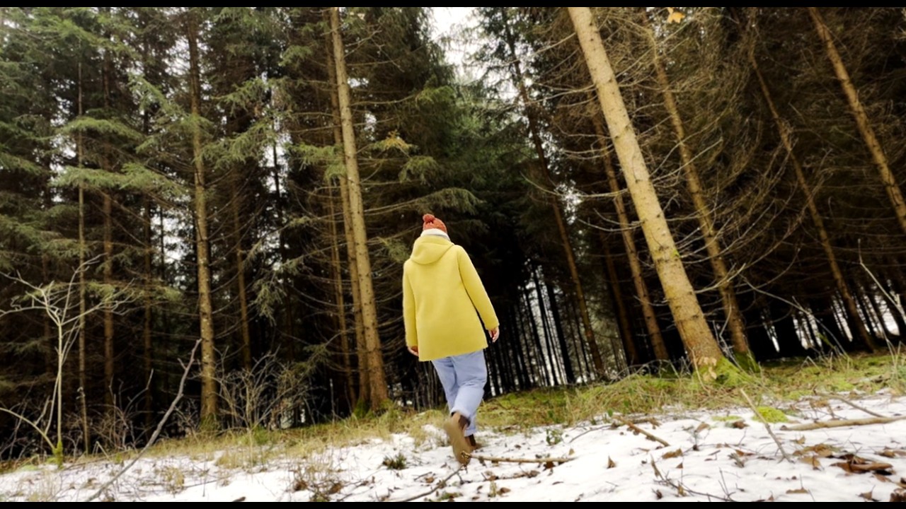 Alone in the forest