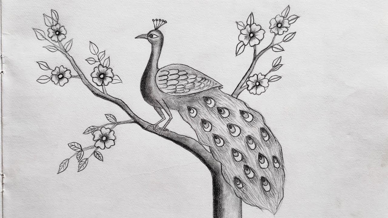 How to Draw a Peacock on the tree Very easy step by step || Easy Peacock Drawing for beginner