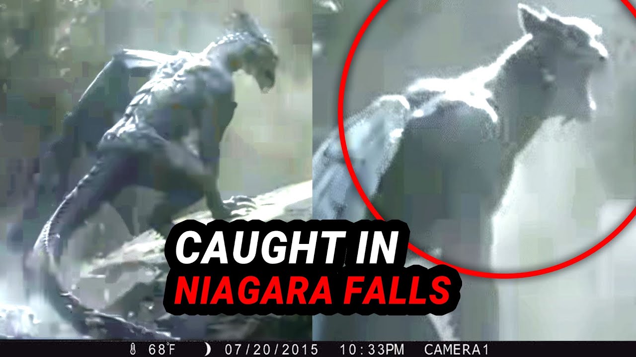 This Trail Cam Captured The Unthinkable
