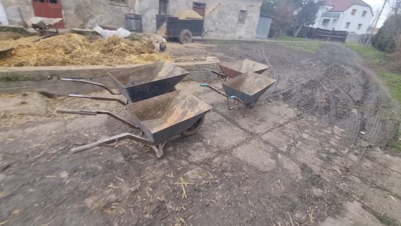 Wigilijne obowiązki na gospodarstwie