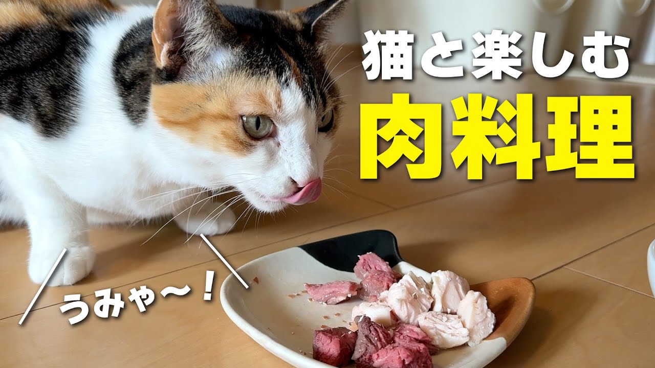 2024年もありがとうございました！クリスマスは豪華なお肉料理を猫たちにプレゼントしました！