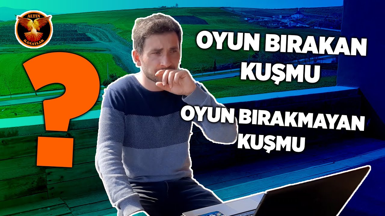 Oyun kuşunda oyun bırakma? / Güvercin ve kuşçuluk / ALTIN KANATLAR