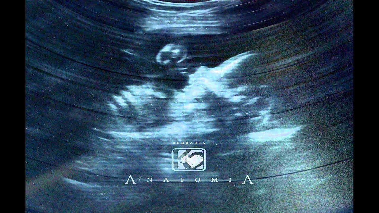 Subbassa instrumental - K2 - Nagi instynkt [ Anatomia LP ]
