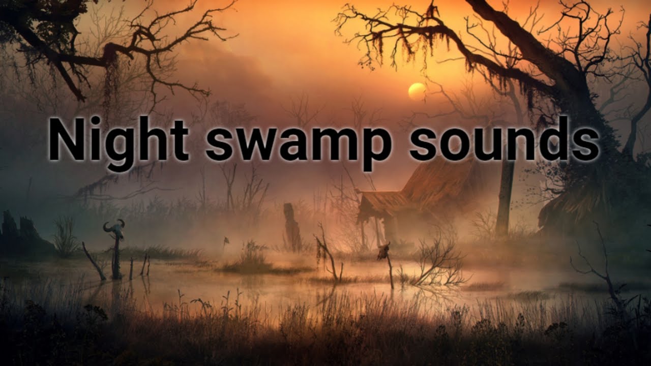 8 hours of night swamp sounds for relaxation, stress relief and deep sleep