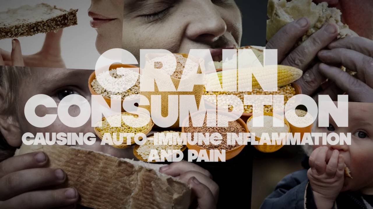No Grain No Pain Initiative - Dr Osborne