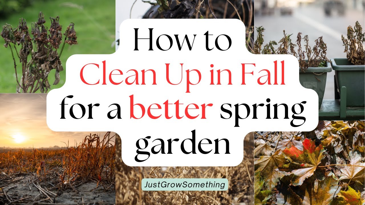 How to Clean Up the Fall Garden for a Better Spring - Ep 276