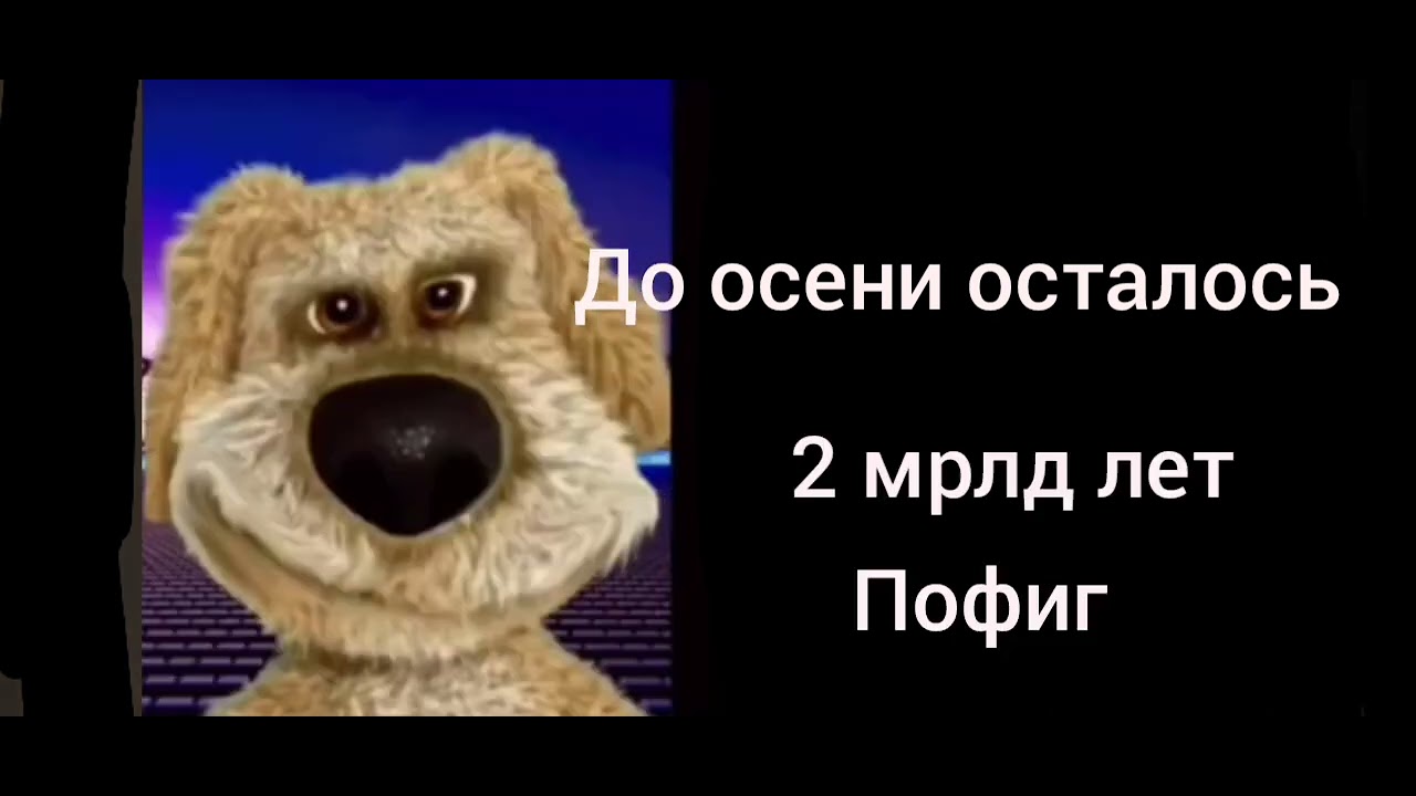 До осени осталось? Это... грустные Бена лицы