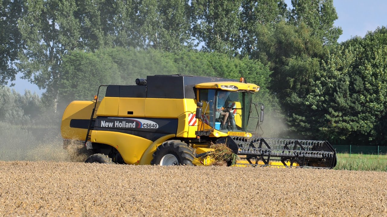 New Holland CS640 - Loonwerken Staelens - tarwe dorsen