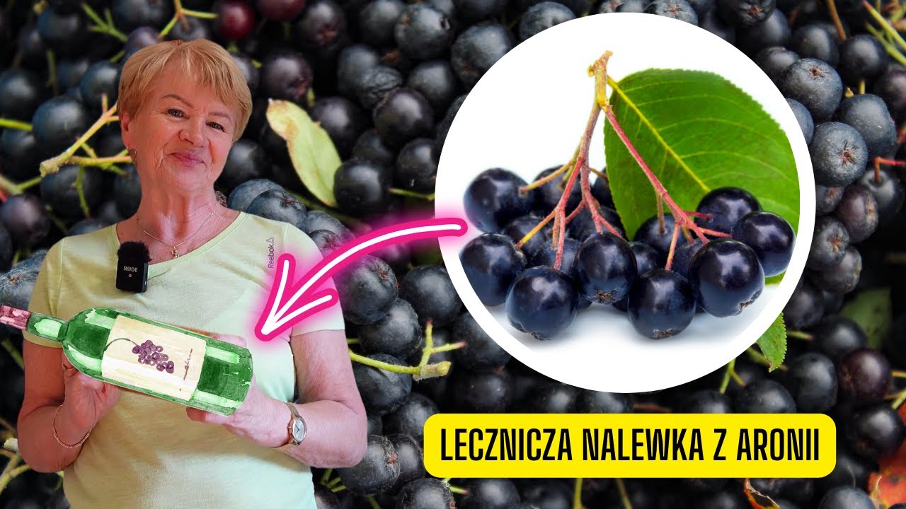Lecznicza nalewka z aronii &ndash; przepis i dawkowanie (stosuj z rozwagą)