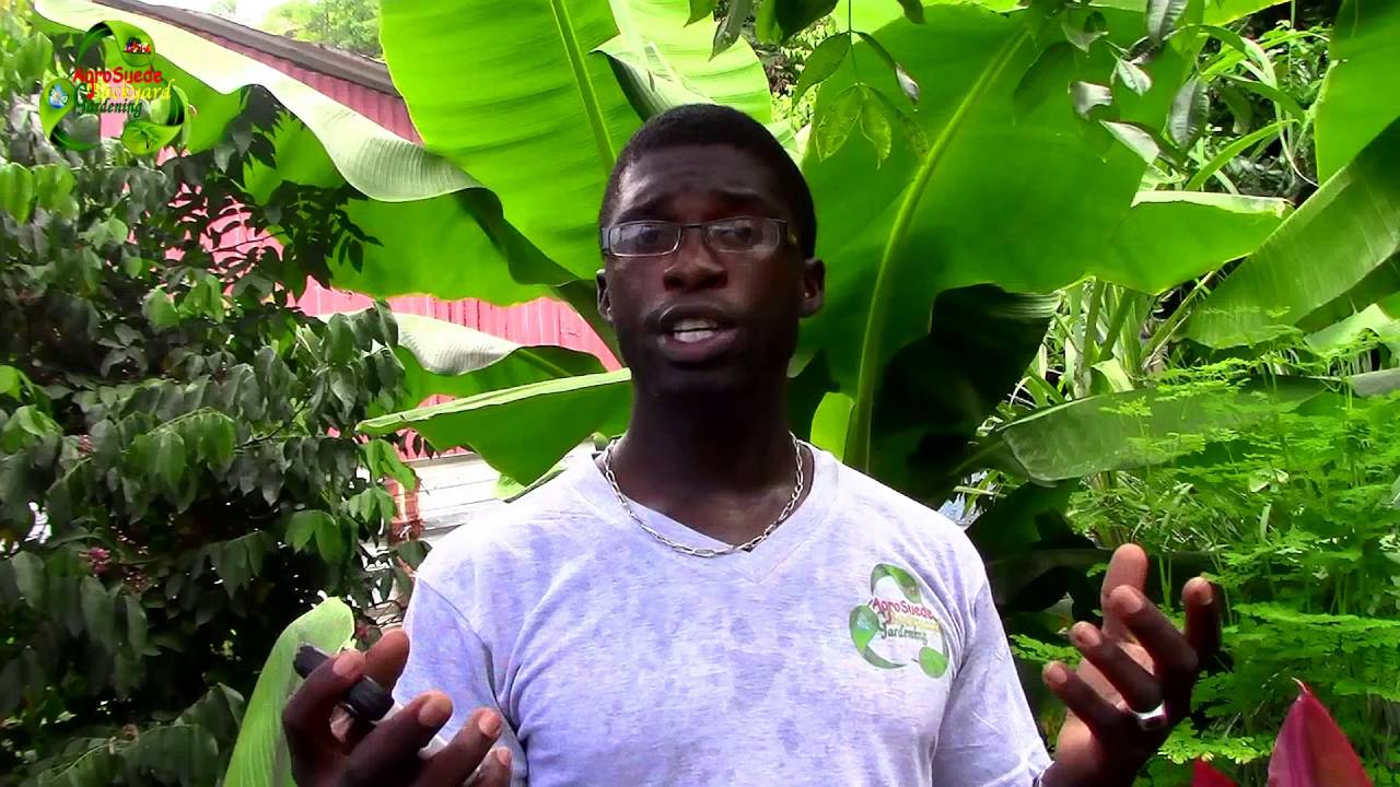 Video Submission | Connect4Climate | Agrosuede