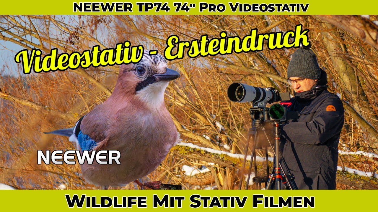 Videostativ - NEEWER TP74 74