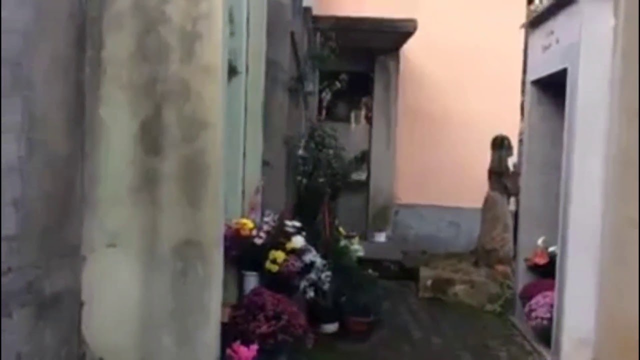 Una visita al cimitero (p.addesi)