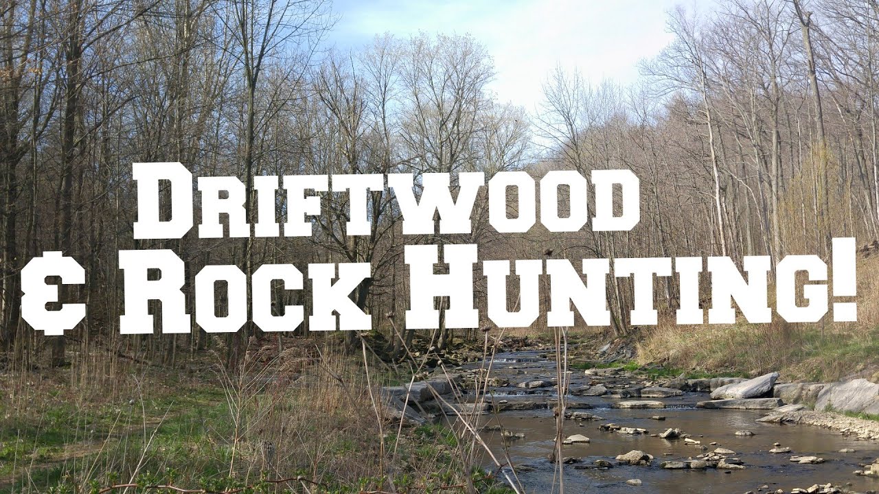 Finding Driftwood & Rocks for an Aquarium!