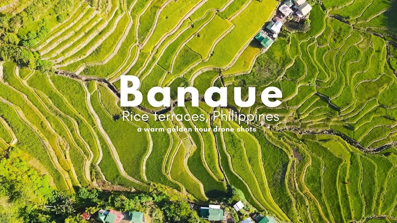 GOLDEN HOUR  DRONE SHOTS | BANAUE RICE TERRACES | PHILIPPINES