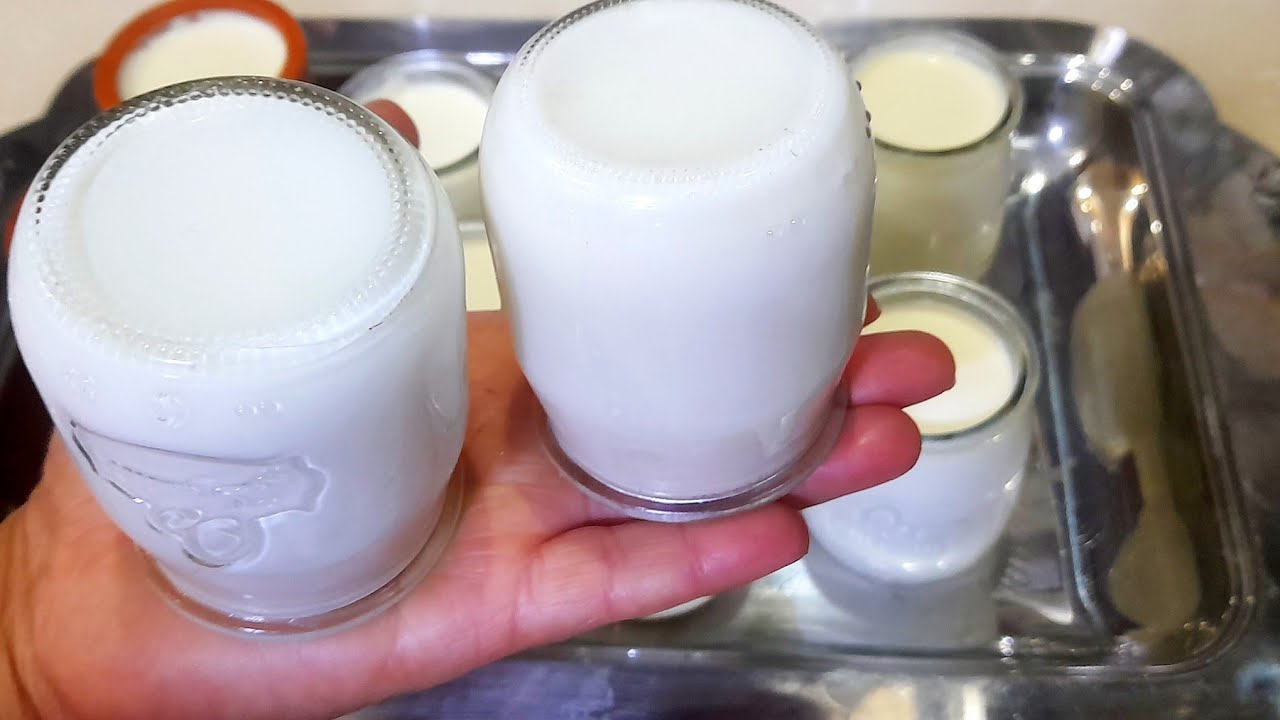رايب المحلبات ياغورت عاقد وكريمي ناجح مليون فالمئة 😋 بلا حليب مجفف ولا ماء ساخن ولا طنجرة ضغط رائع