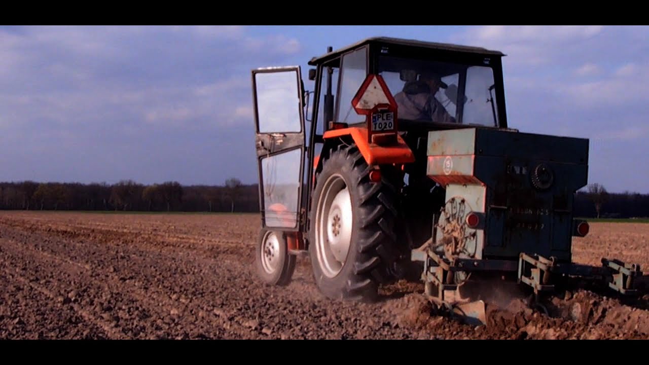 💪🔥Massey Ferguson 235 i Agrostroj czyli sadzenie ziemniaków 2021💪🔥