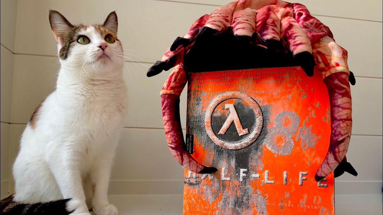 Half Life retrospective with my cats