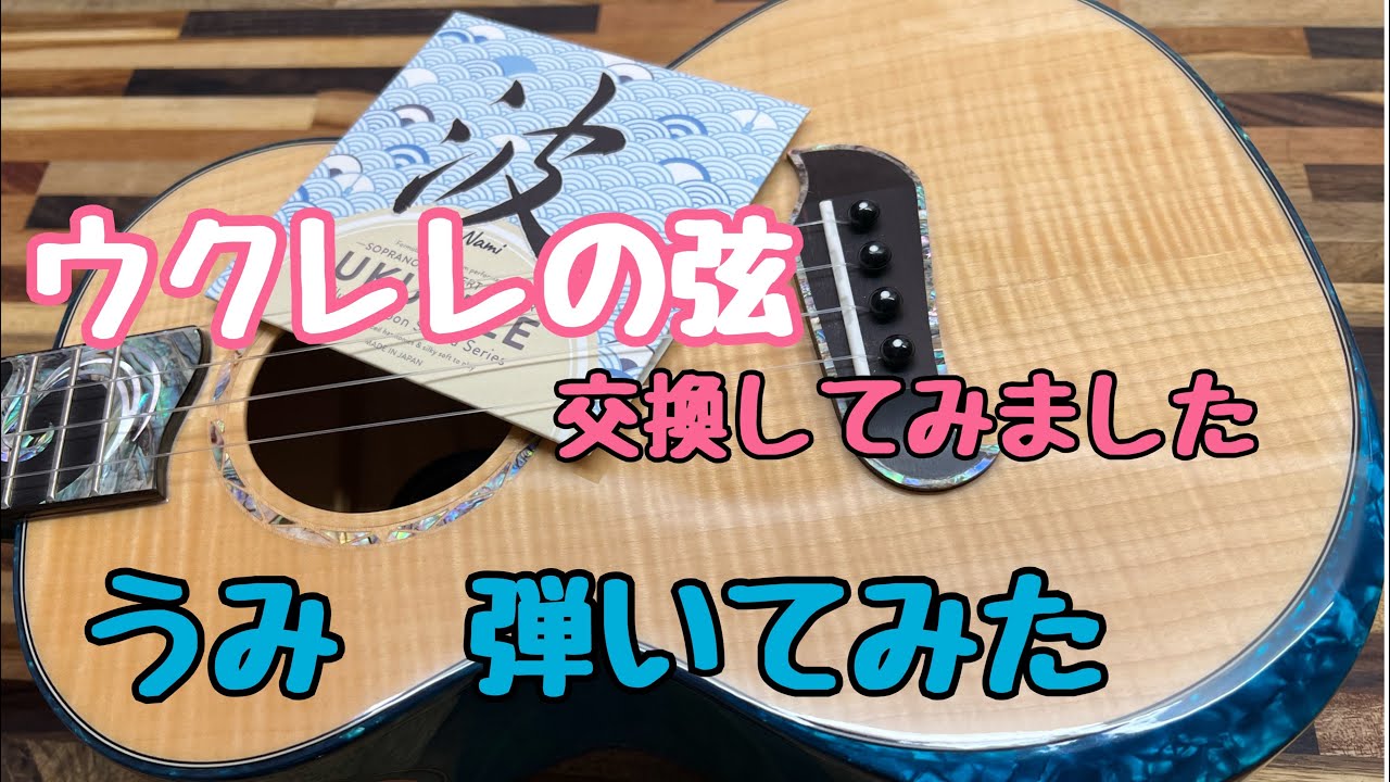 ウクレレ弦 交換　波 　サドルとナット削るやつ買いました#ウクレレ弦波　＃弦高　#kaiukulele 　#うみ　#ウクレレ　#フロロカーボン弦