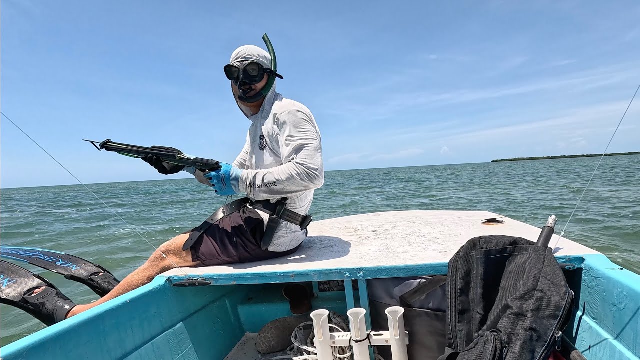 Spearfishing shallow wrecks and reefs
