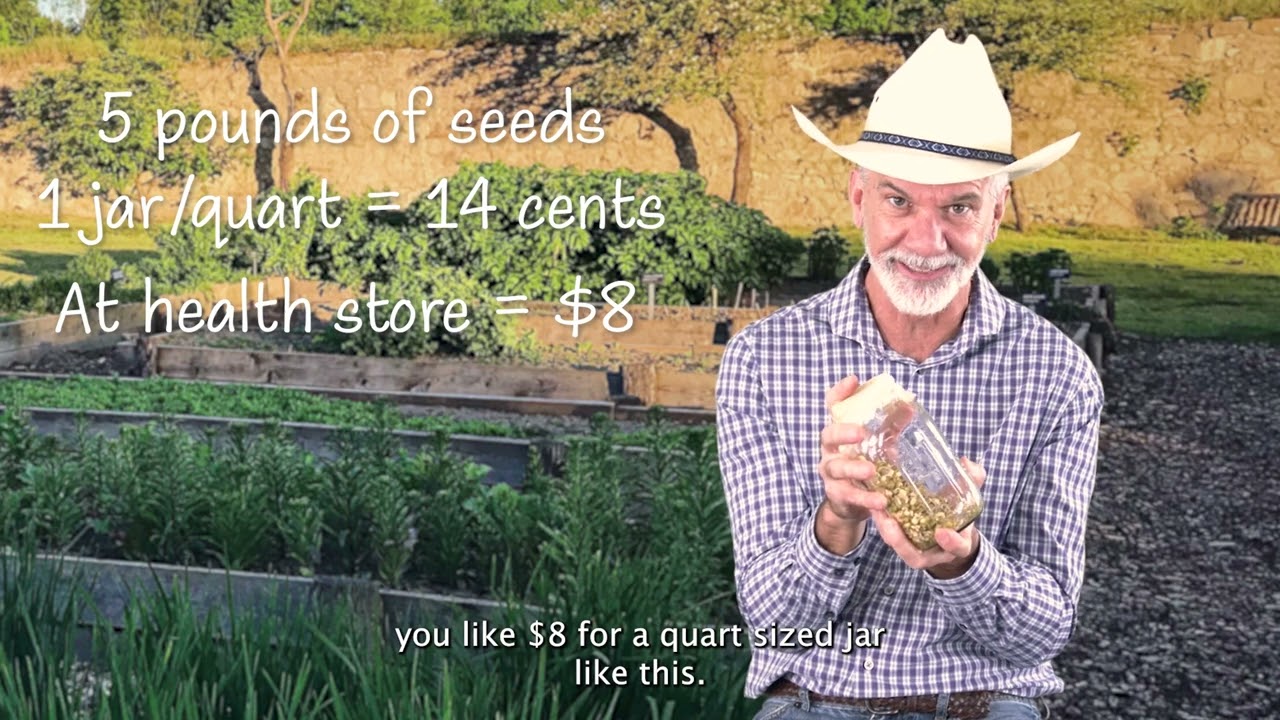 Sprouting The Gateway Vegetable To Other Gardening