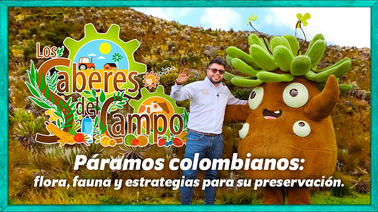 Los Saberes del campo: Páramos colombianos: flora, fauna y estrategias para su preservación.
