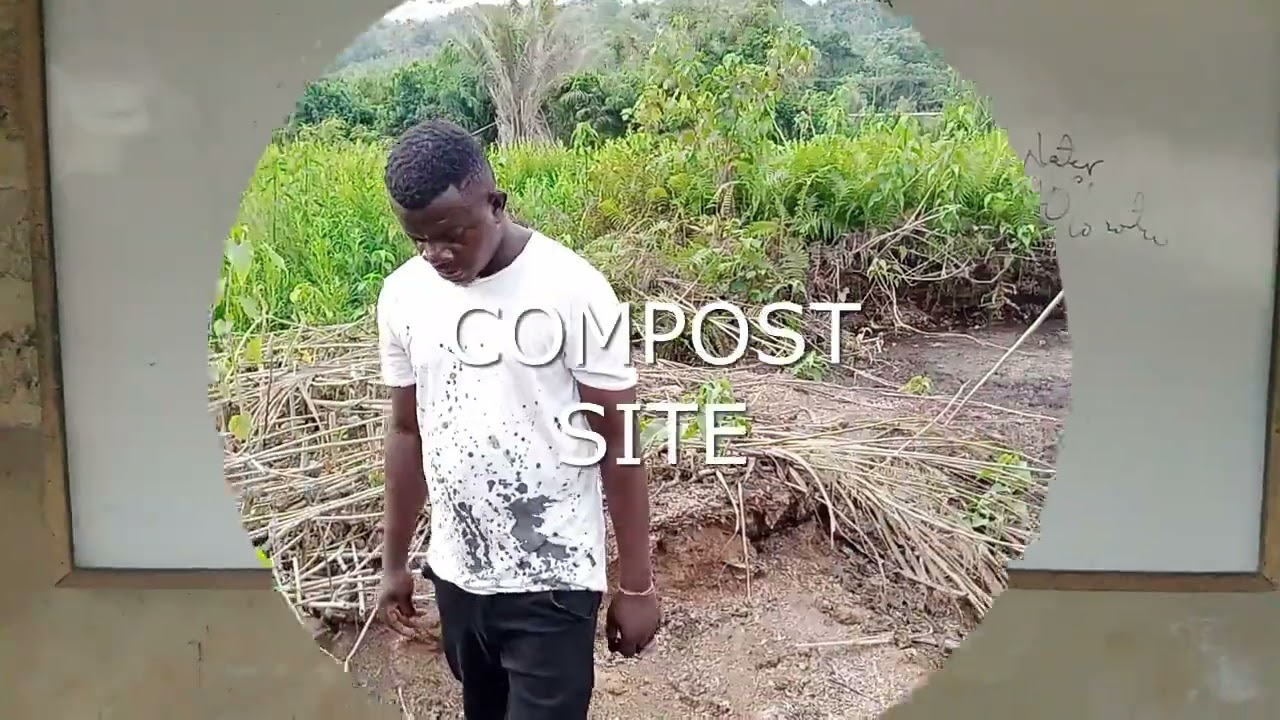 How To Make a Sawdust Compost For Banana/Plantain Sucker Nursery using macro propagation method