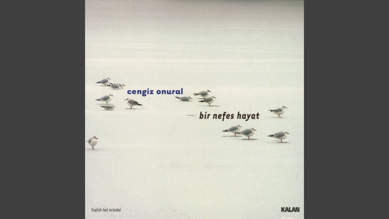 Eve Dönüş