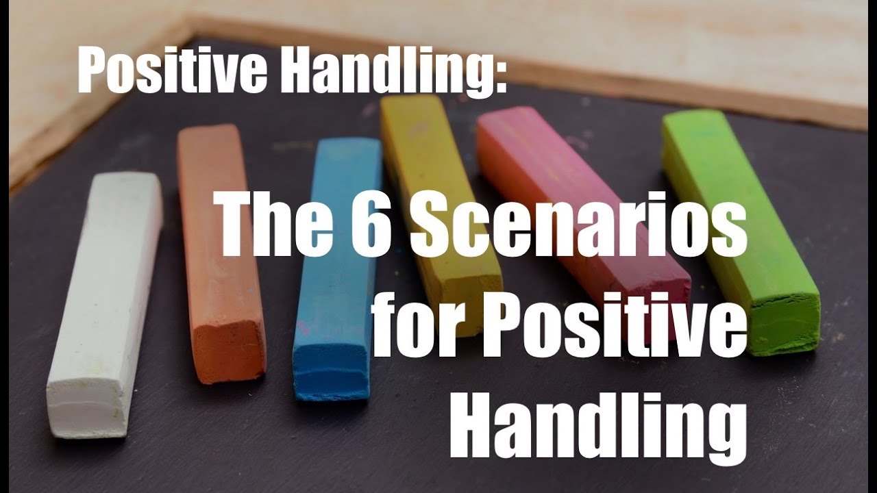 Positive Handling the Six Scenarios that Schools Tell us About