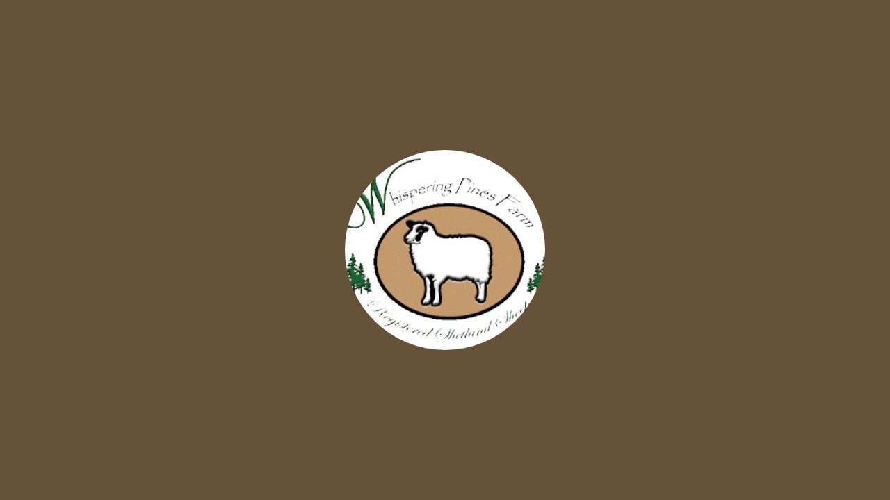 Sheep Farm Livestream 11/22/2024