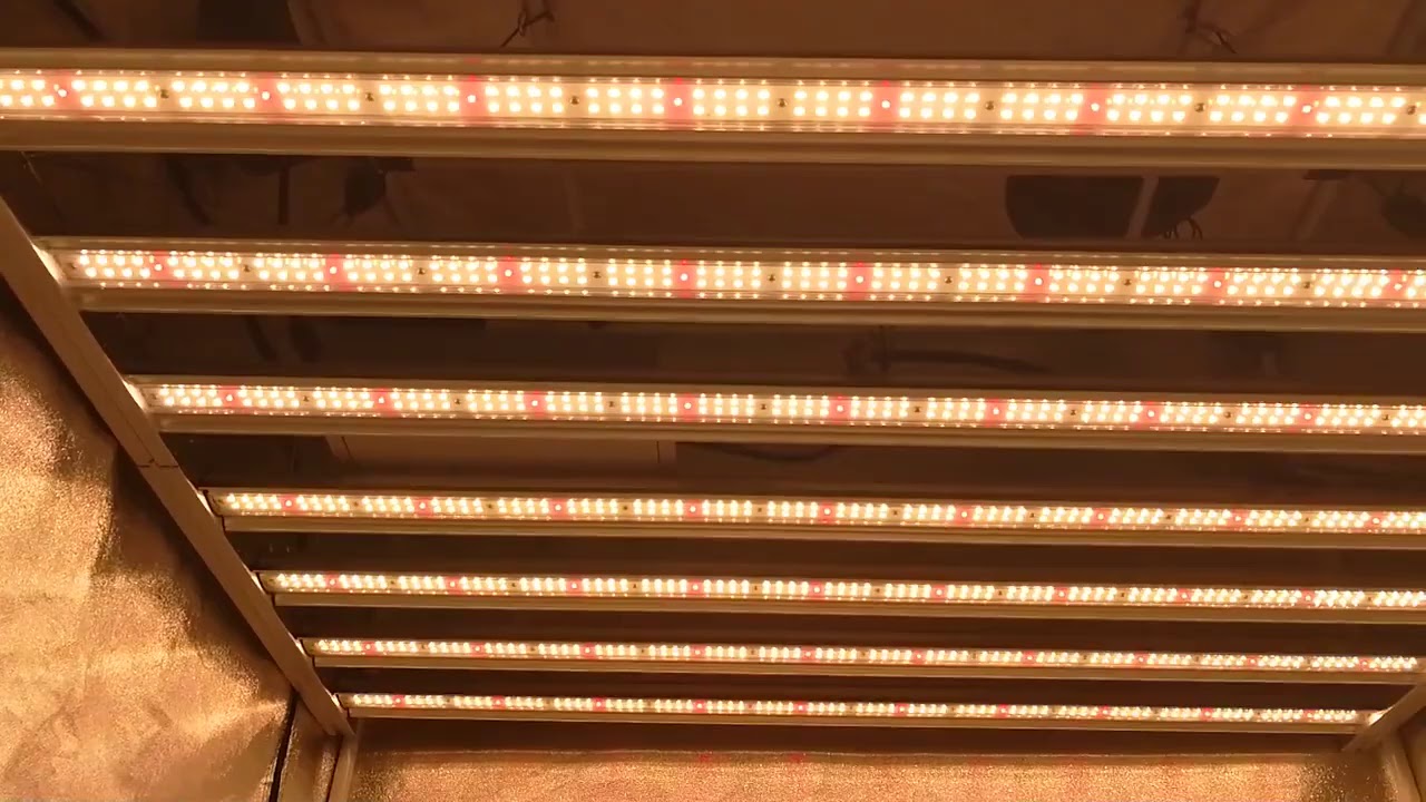 Full Spectrum Samsung & Osram LED Grow Light Bar 8bar 650w 1000w