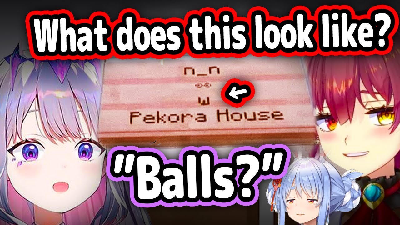 Biboo's Answer To Marine's Question Is Priceless【Hololive】