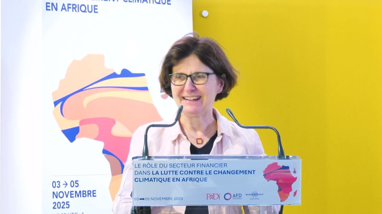 Rôle du secteur financier dans la lutte contre le changement climatique en Afrique (Part. 1)