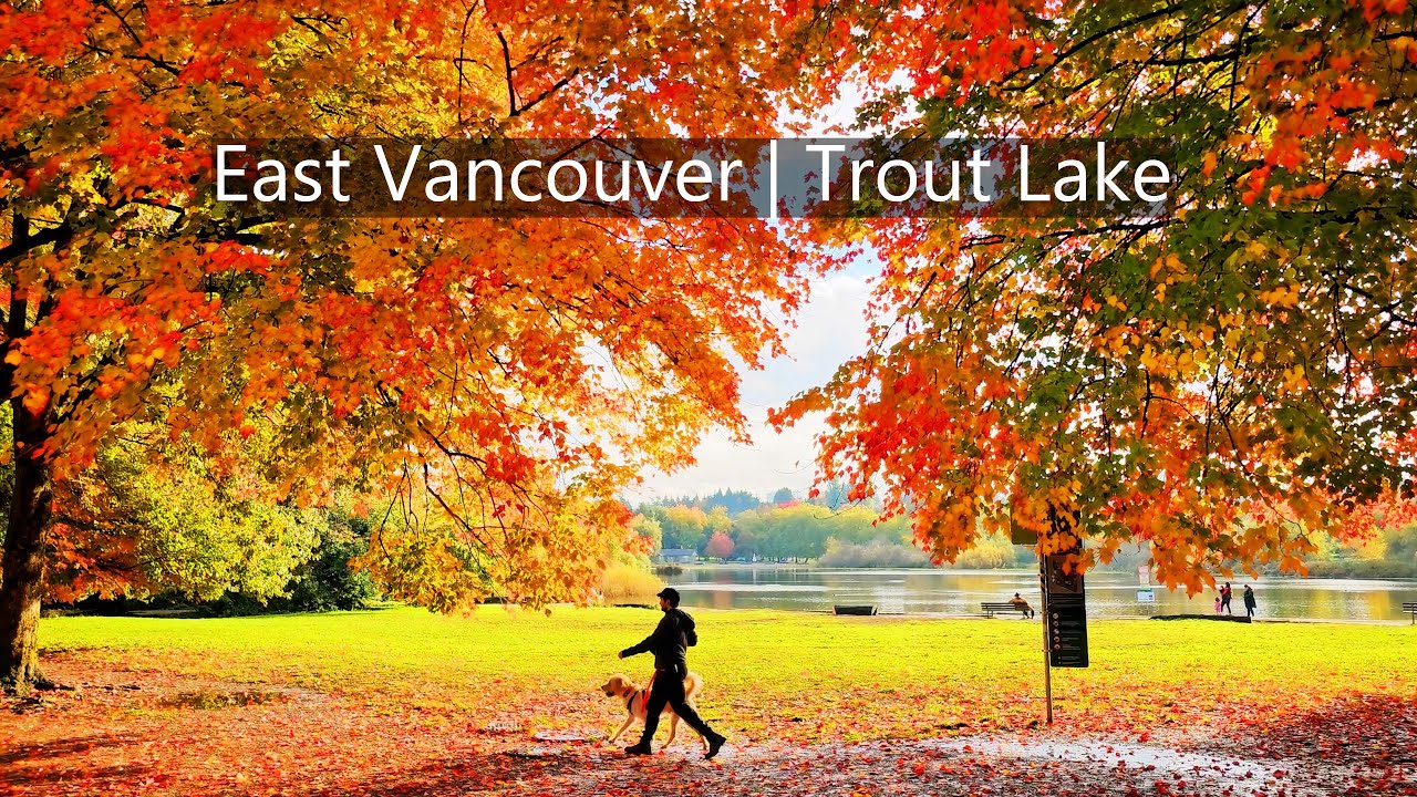 Fall Colours in East Vancouver | Trout Lake