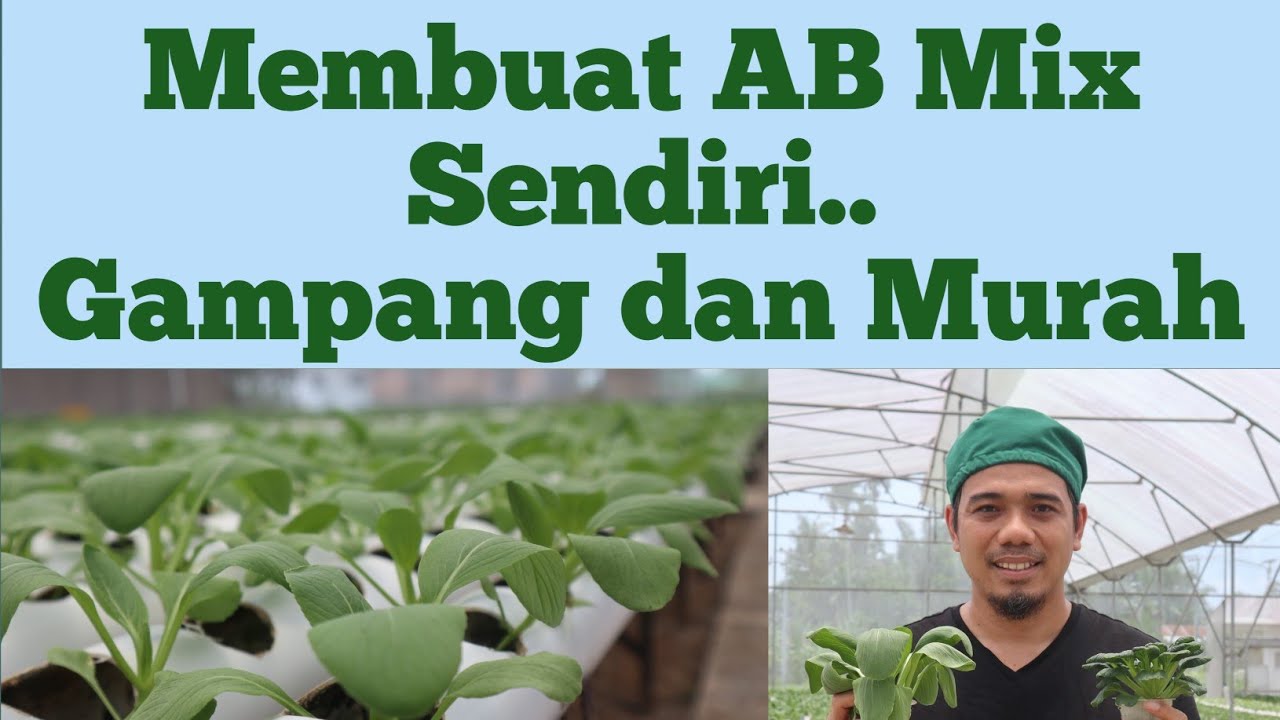 Membuat nutrisi AB Mix sendiri, Nutrisi AB Mix murah, Cara mudah membuat nutrisi hidroponik,