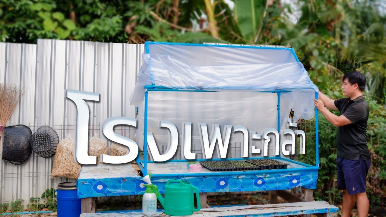โรงเรือนเพาะกล้าผัก | AORGANIC