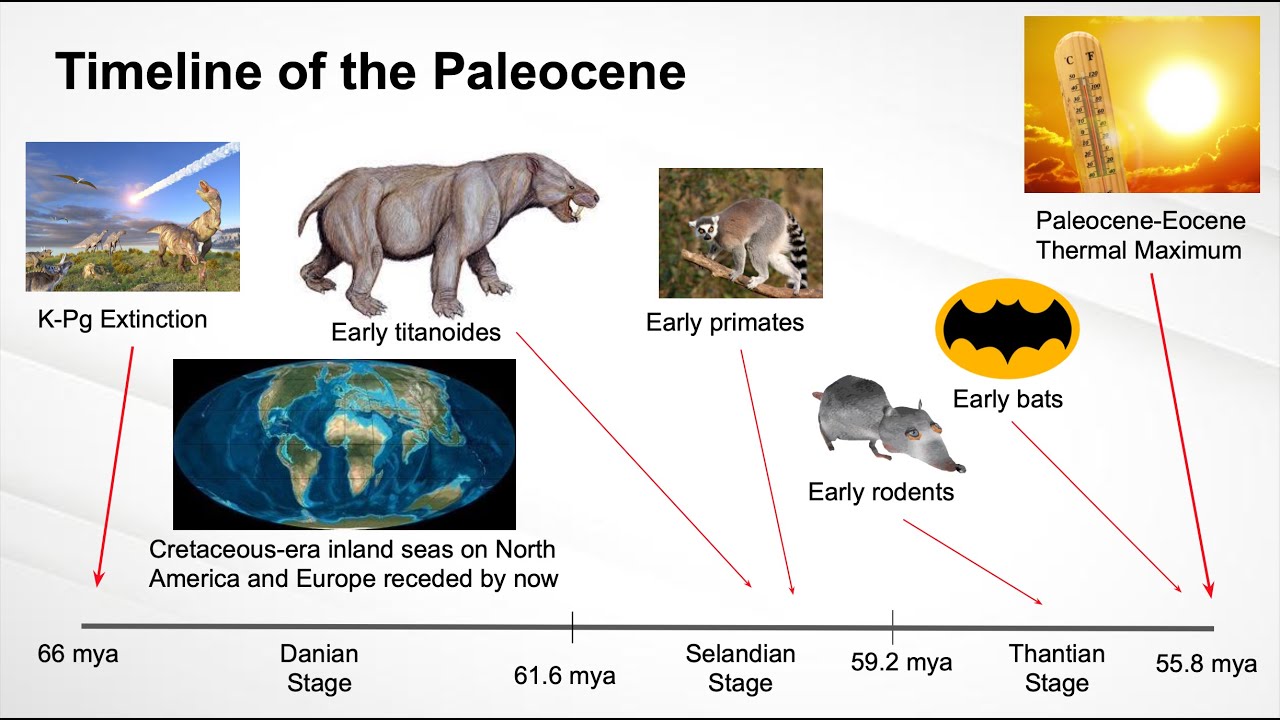 Paleocene Presentation