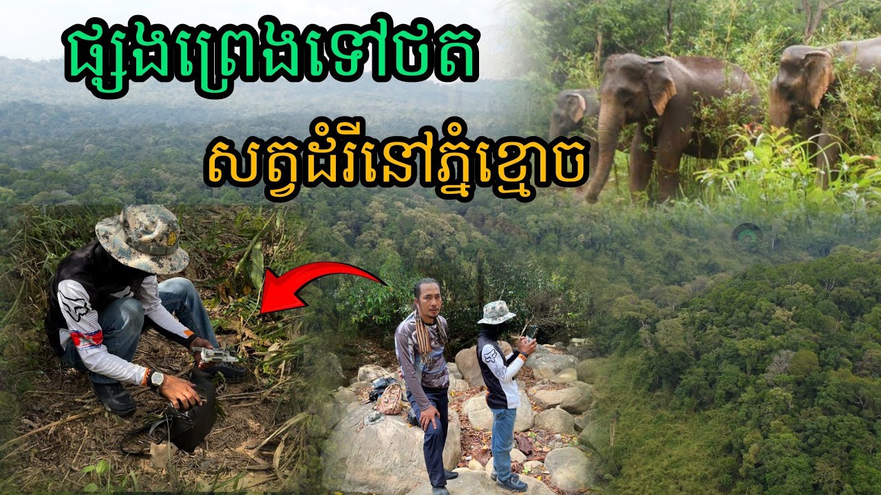ផ្សងព្រេង​ទៅថតសត្វដំរីនៅភ្នំខ្មោច