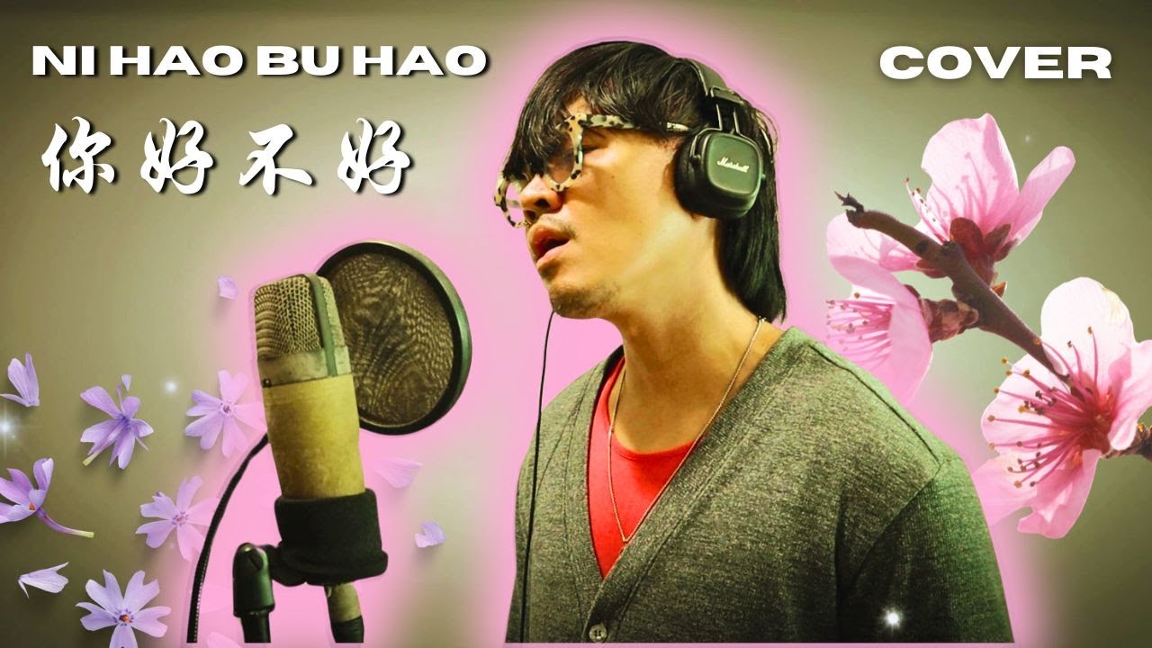 ni hao bu hao (你好不好)| Chinese song cover| Marq Aljo