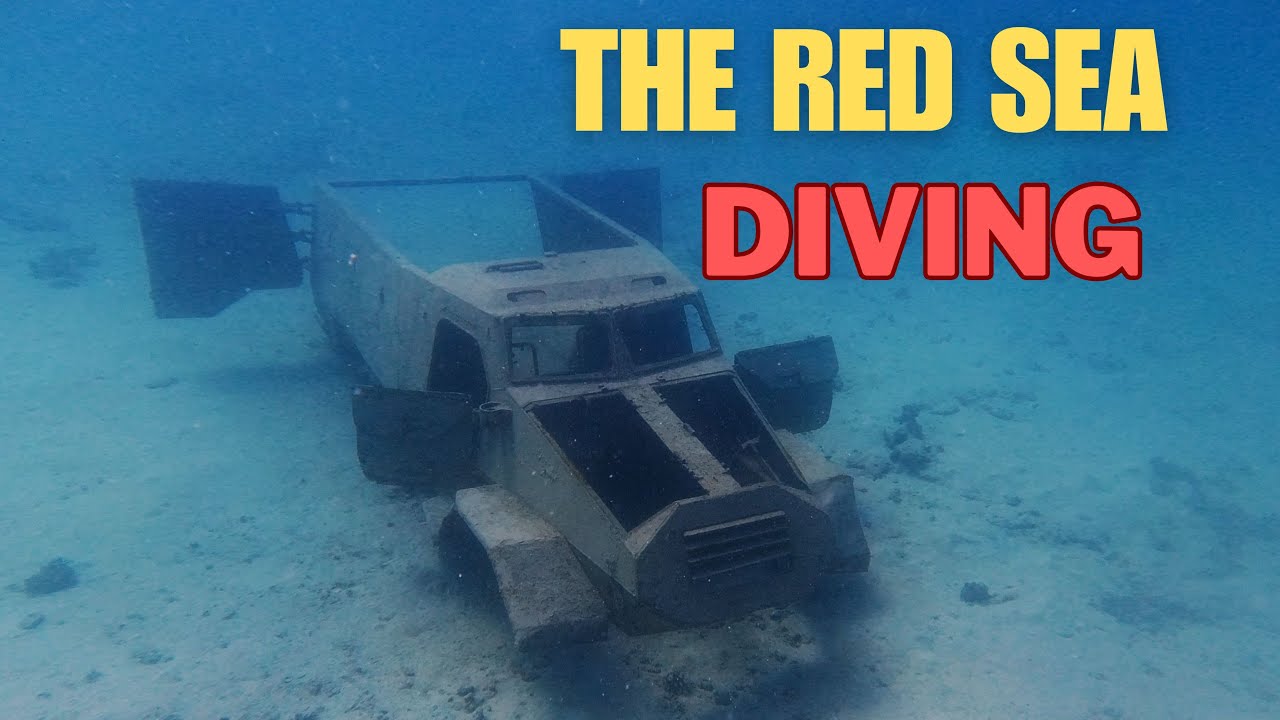 THE RED SEA DIVING near Hurghada with PRIMA DIVING | November 2023