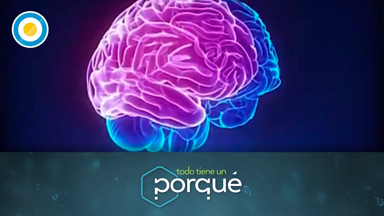Ciencia y tecnolog&iacute;a: el funcionamiento del cerebro en Todo tiene un #porqu&eacute; (1 de 3)