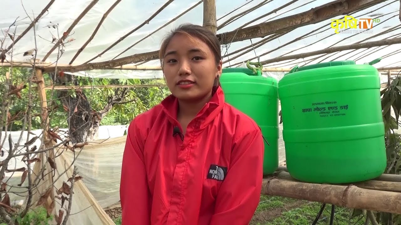 Sital Thopa Sichai  - Gorkha  || सितल थोपा सिंचाई प्रविधि प्रयोग