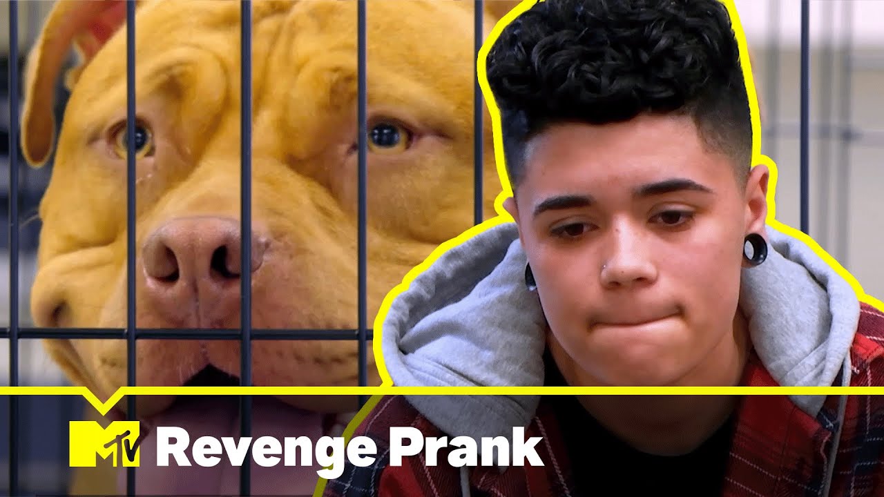 Dog Bite | Revenge Prank | MTV Asia