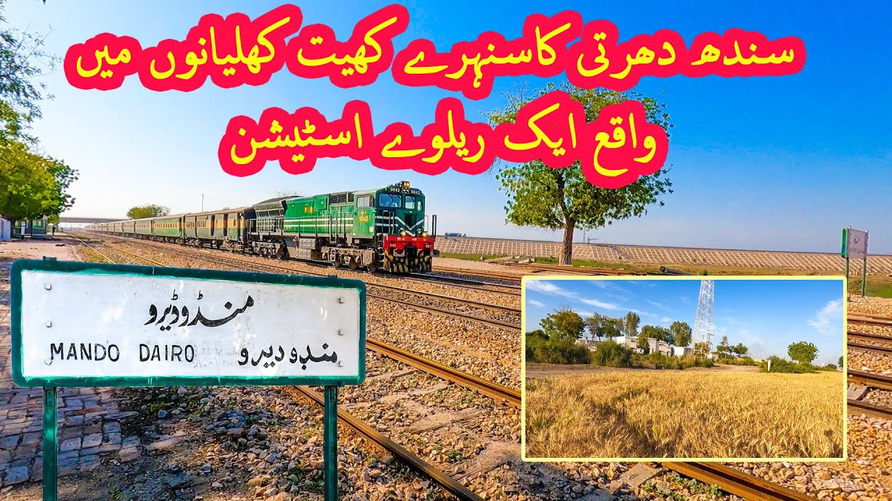 Trains Through Magical Golden Fields of Mando Dairo | Freight Train Frenzy